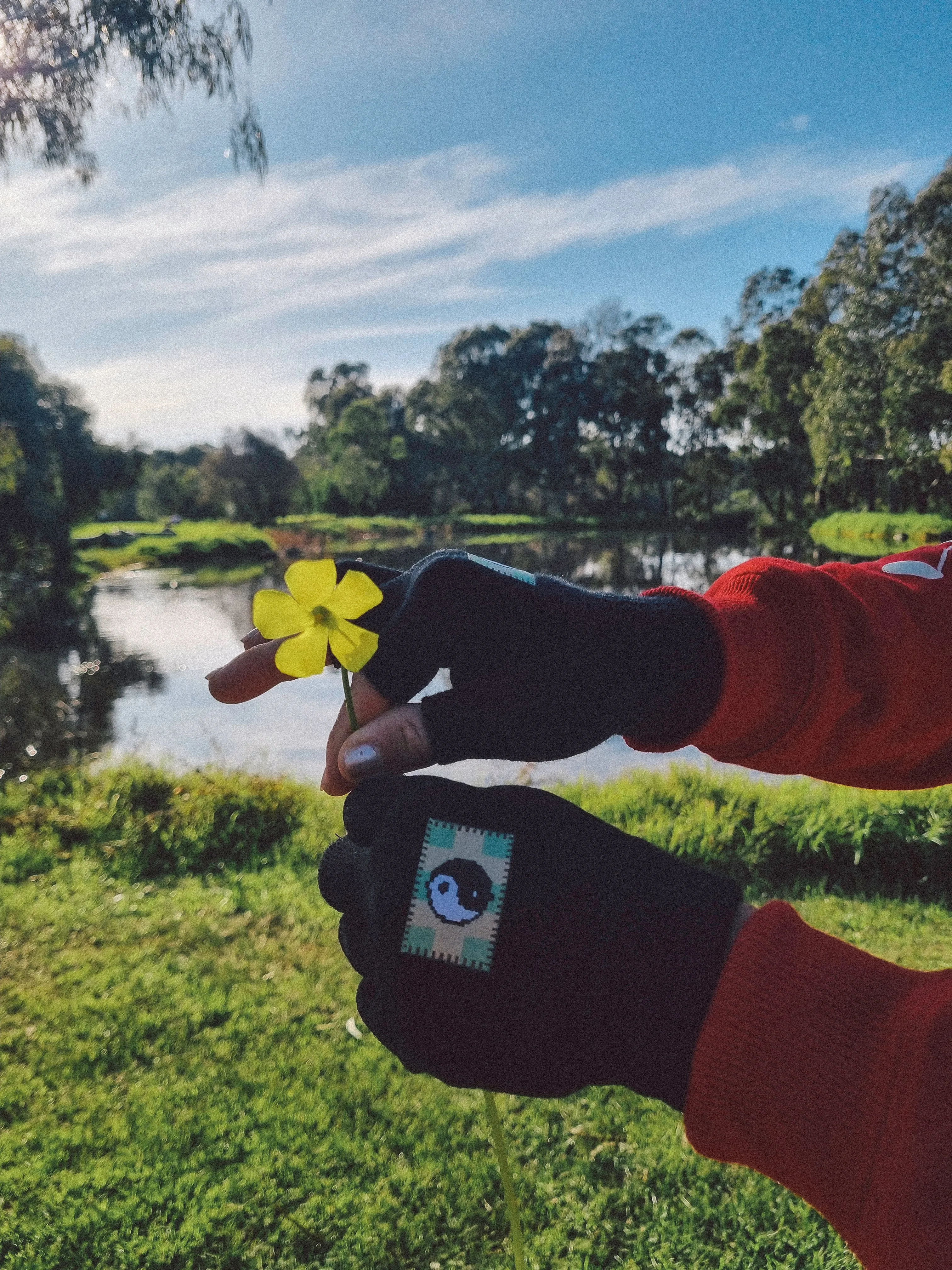 Balance Fingerless Gloves
